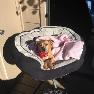 Meet your Posher, Alex